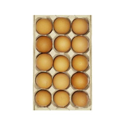 Promo Harga Telur Ayam Negeri  - Yogya